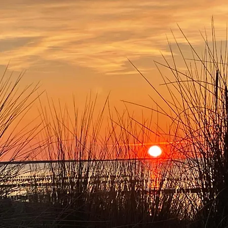 Appartementhaus 1 - Urlaub Zwischen & Bodden Lägenhet Zingst