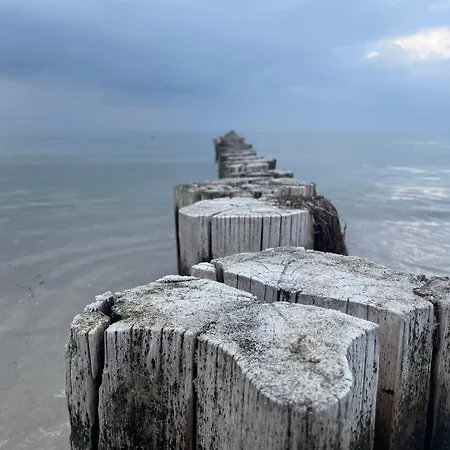 Appartementhaus 1 - Urlaub Zwischen & Bodden Lägenhet *